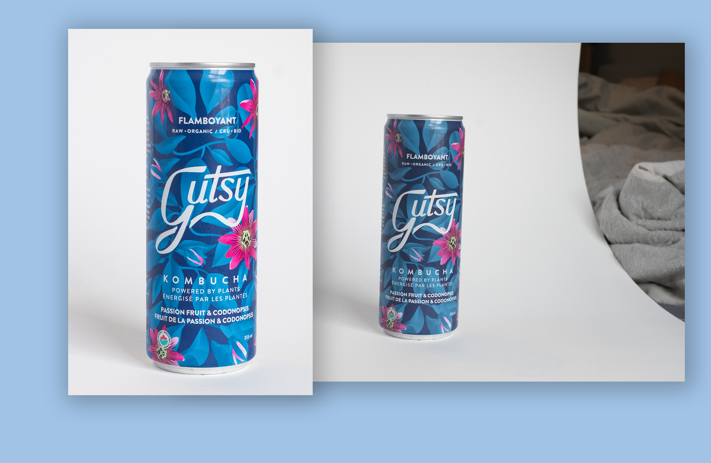 Image de l'étape Publicité - Gutsy