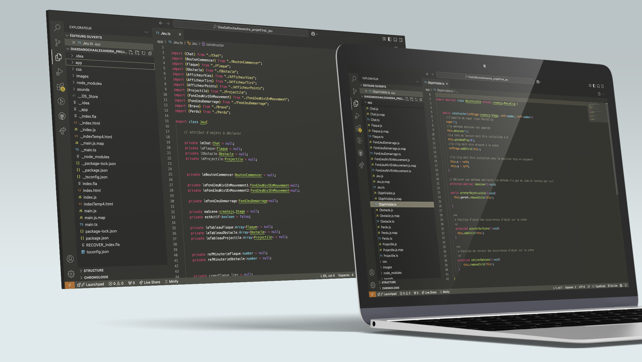 Image de l'étape Développement et Programmation